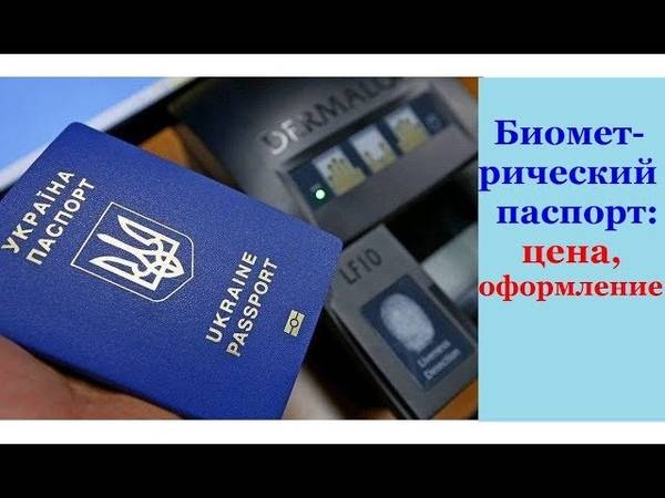 Работа в польше без визы для украинцев по биометрическому паспорту