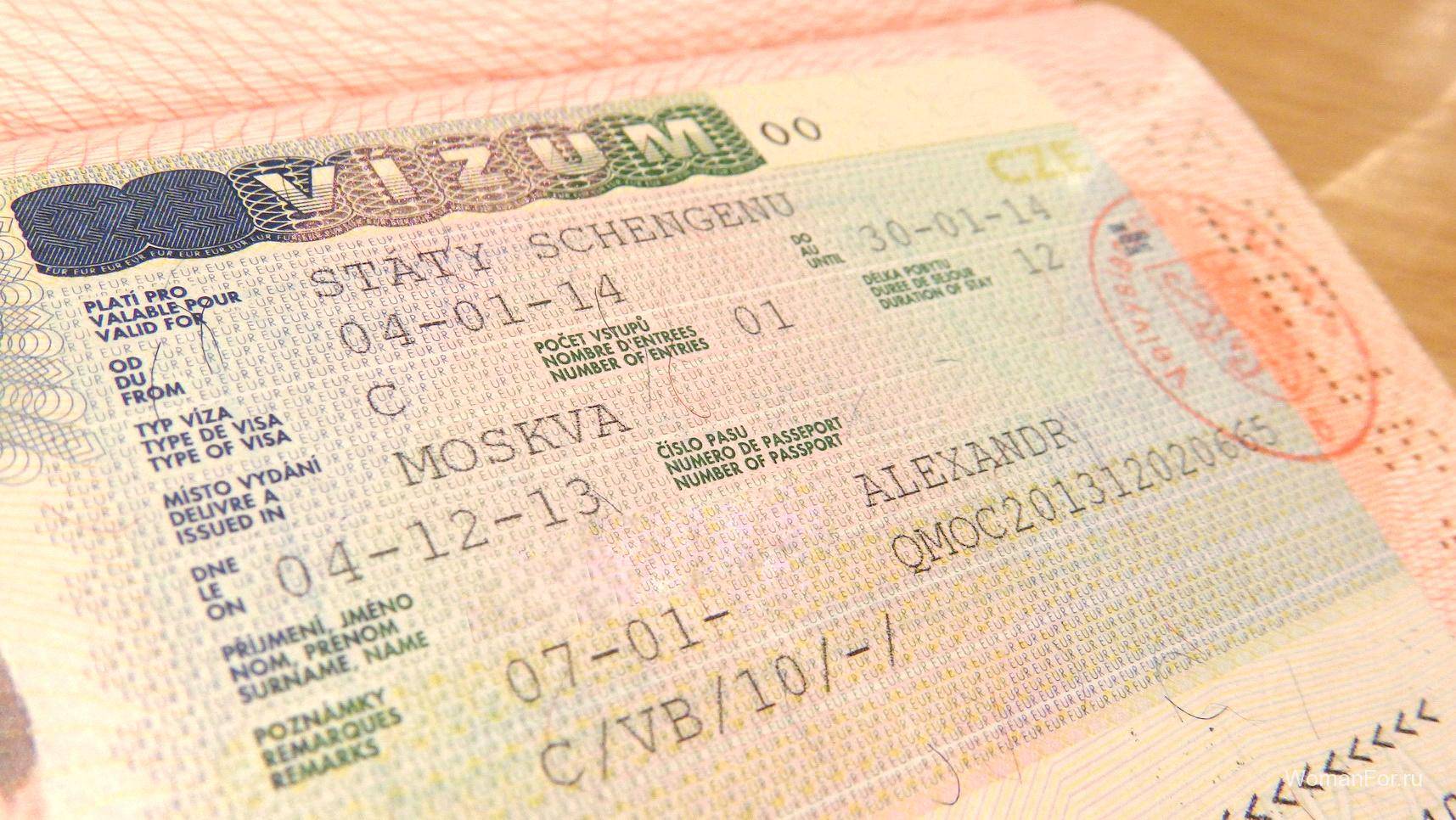 Как получить визу в германию через visametric