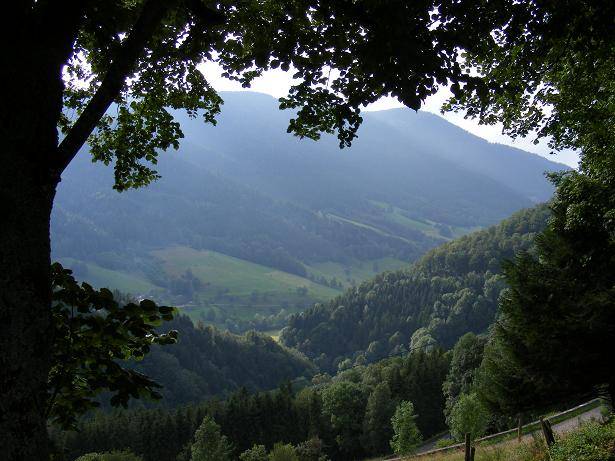 Баварский лес: германия, достопримечательности, отзывы, лучшее в 2018