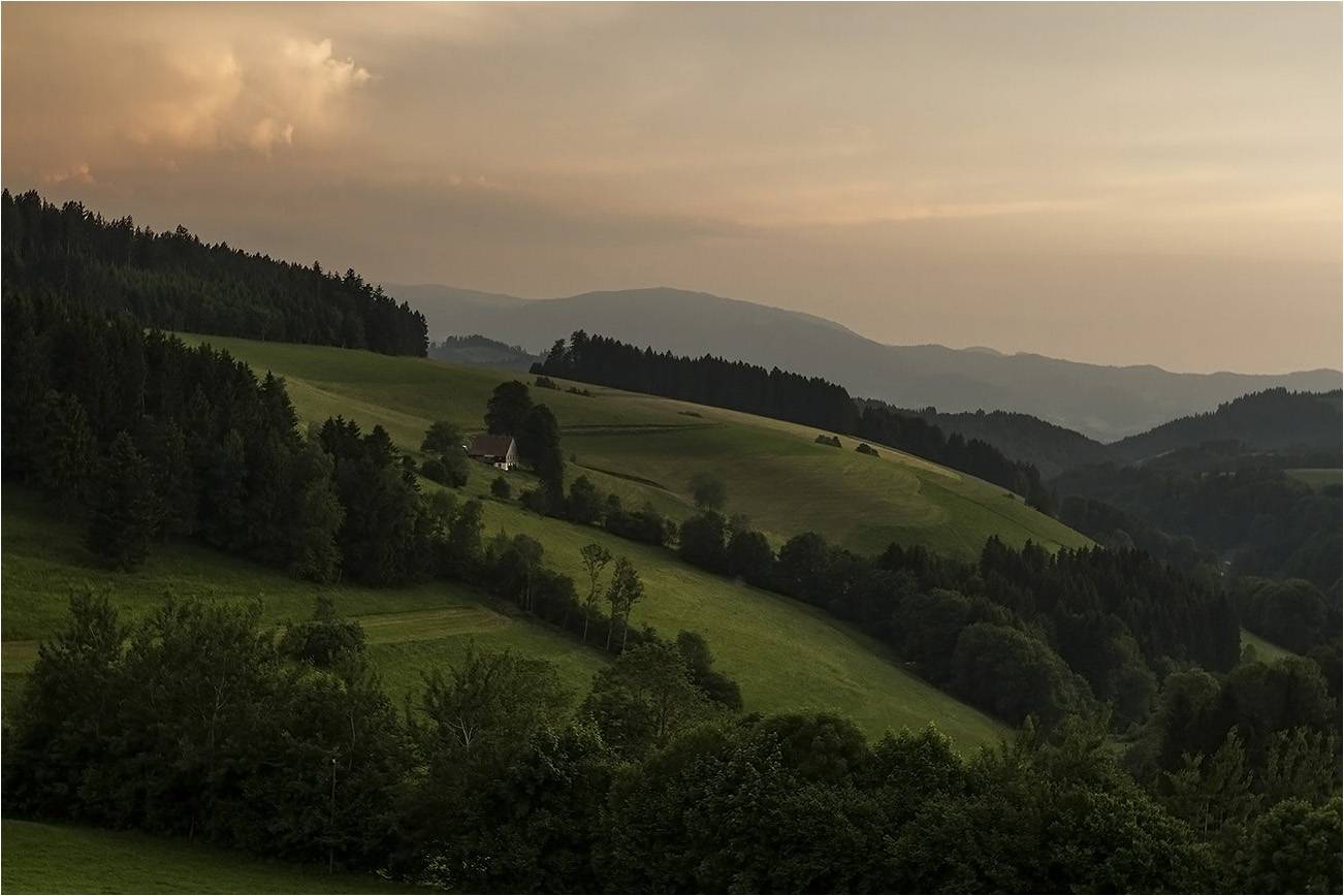 Шварцвальдский лес в Германии: путешествие в сказку