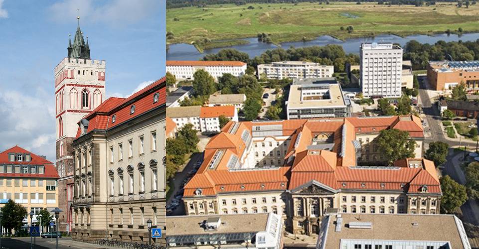 Лучшие университеты для иностранных абитуриентов в Познани
