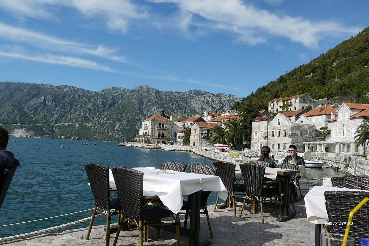 Как получить гражданство черногории в 2021 году: способы