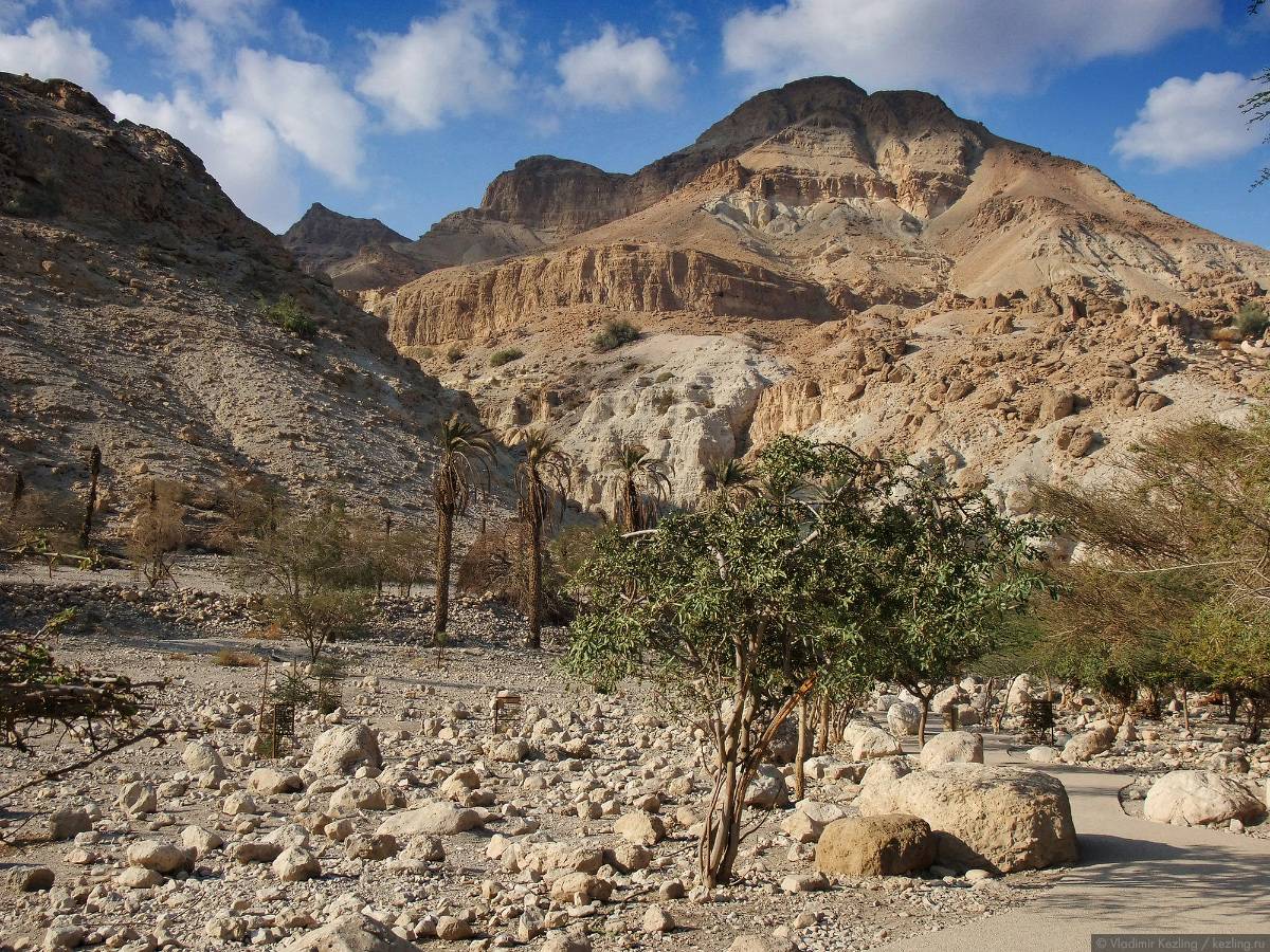 Национальные парки и заповедники Израиля вновь открываются для посетителей
