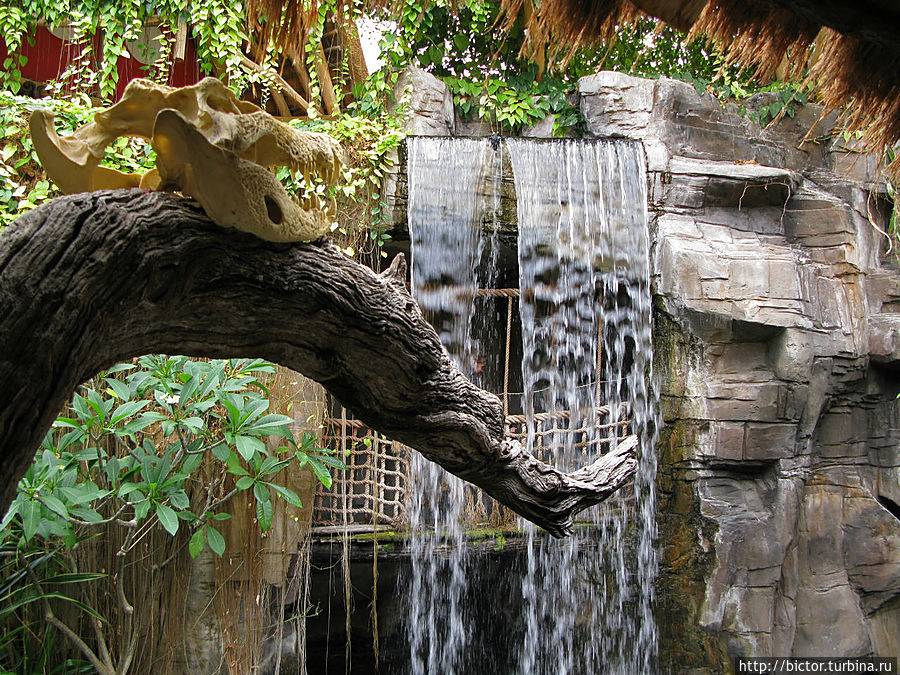 Зоопарк ганновера – парк впечатлений и неожиданностей