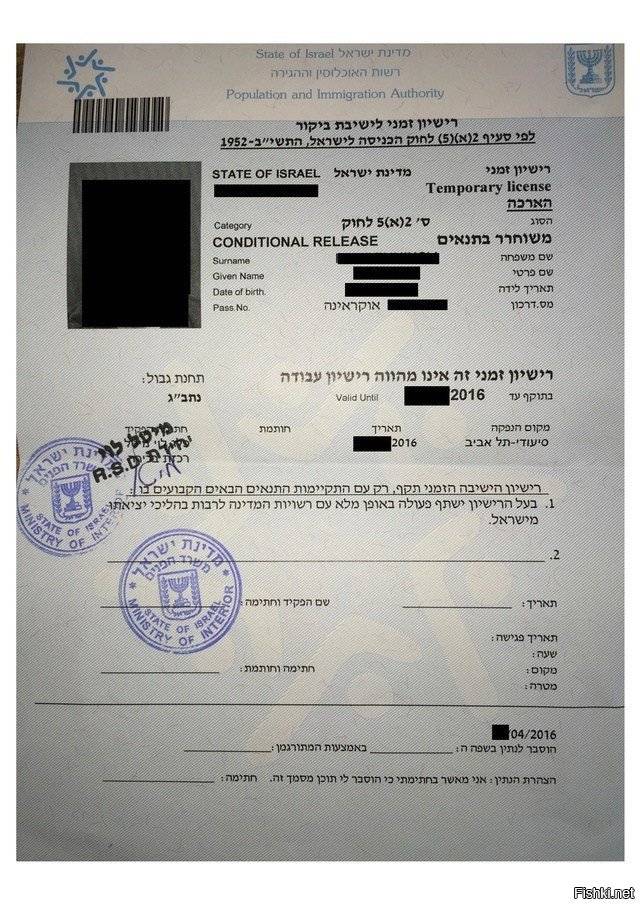 Эмиграция в израиль из россии в 2021 году: как переехать на пмж?