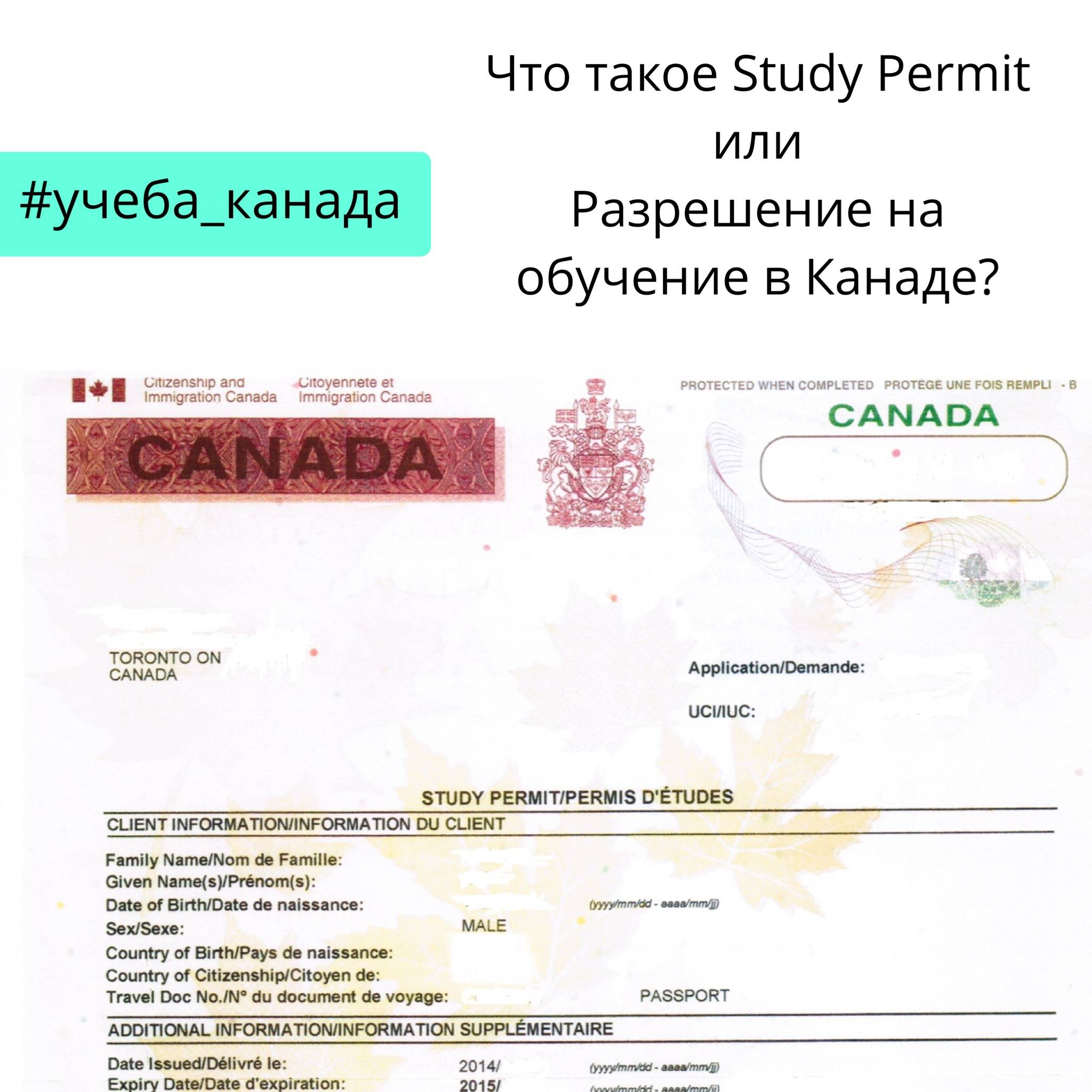 Оформление визы в канаду по приглашению
