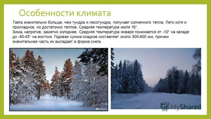 1001 причина поехать в финляндию зимой, финляндия — туристер.ру