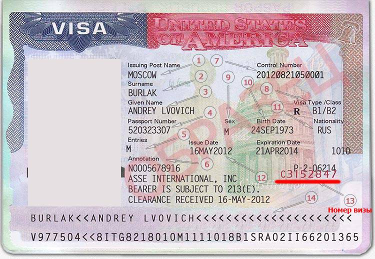 Где находится номер визы США и зачем его нужно знать