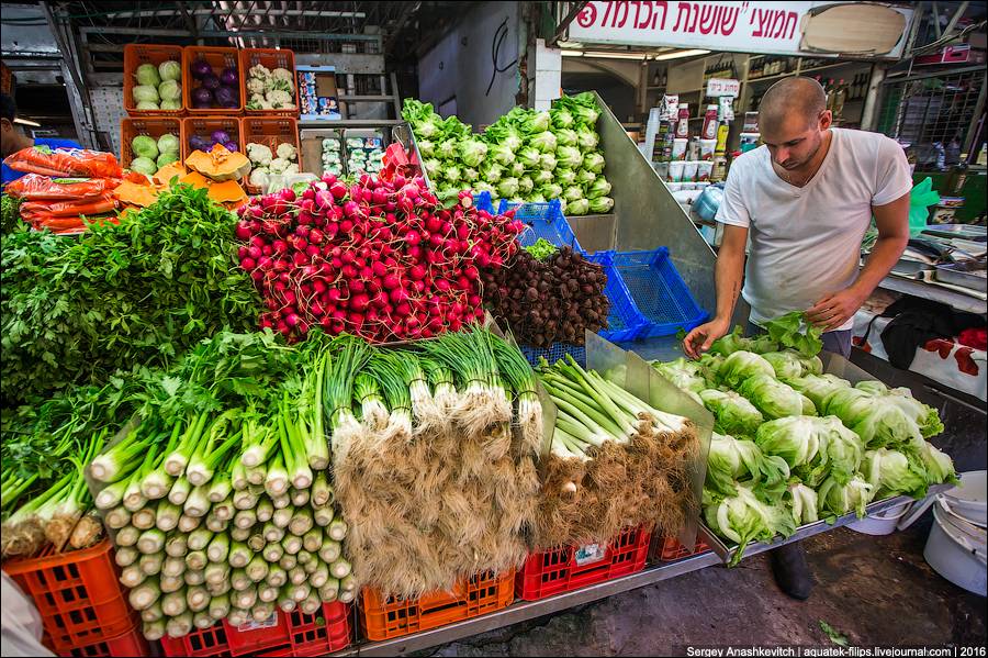 Уровень цен и расходы на жизнь в израиле