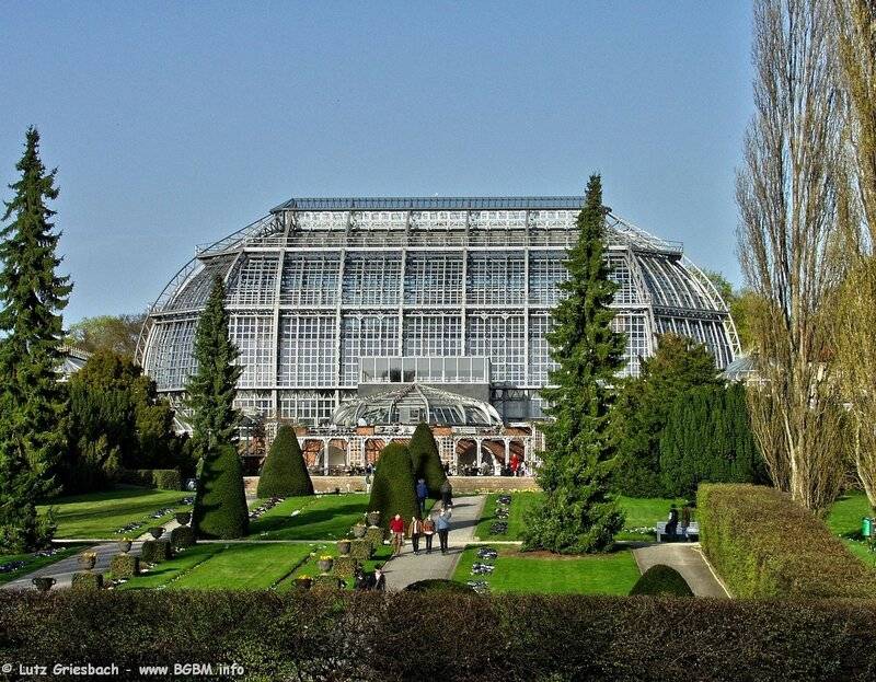 Прекрасный ботанический сад берлина: какие особенности