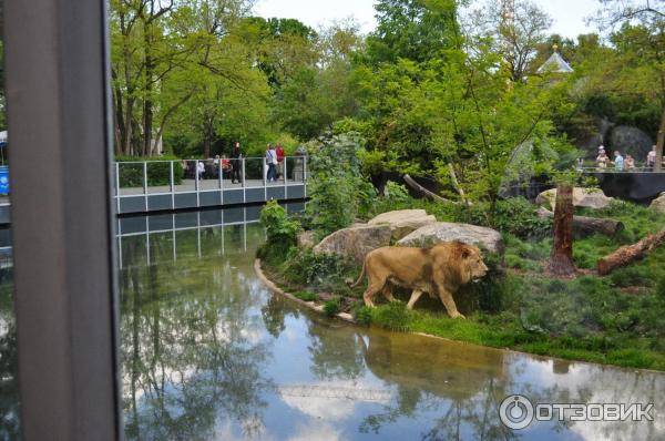 Зоопарк в Мюнхене – фауна пяти континентов