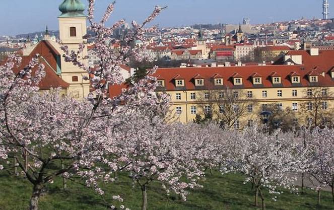 Выбираем лучшее время года для посещения столицы Чехии: погода и климат в Праге по месяцам