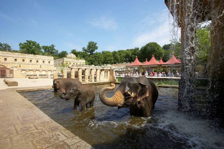 5 самых интересных зоопарков россии где стоит побывать детям и взрослым