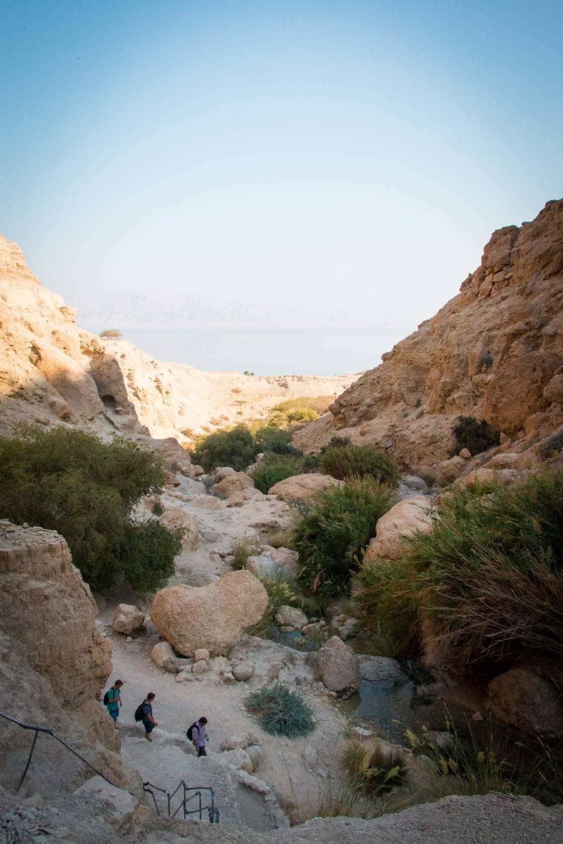 Национальные парки и заповедники израиля - лучший, карта, матмон