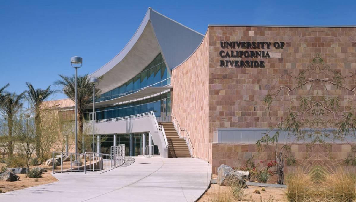 Калифорнийский университет в лос-анджелесе в 2021 году: поступление, обучение