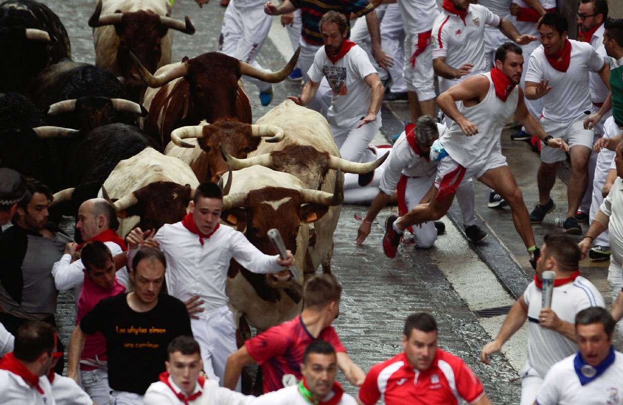 Сан-фермин в памплоне 2021: фото, отзывы, даты забега быков в испании, отели рядом на туристер.ру