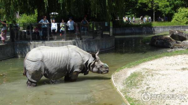 Гамбургский зоопарк: путешествие в мир дикой природы