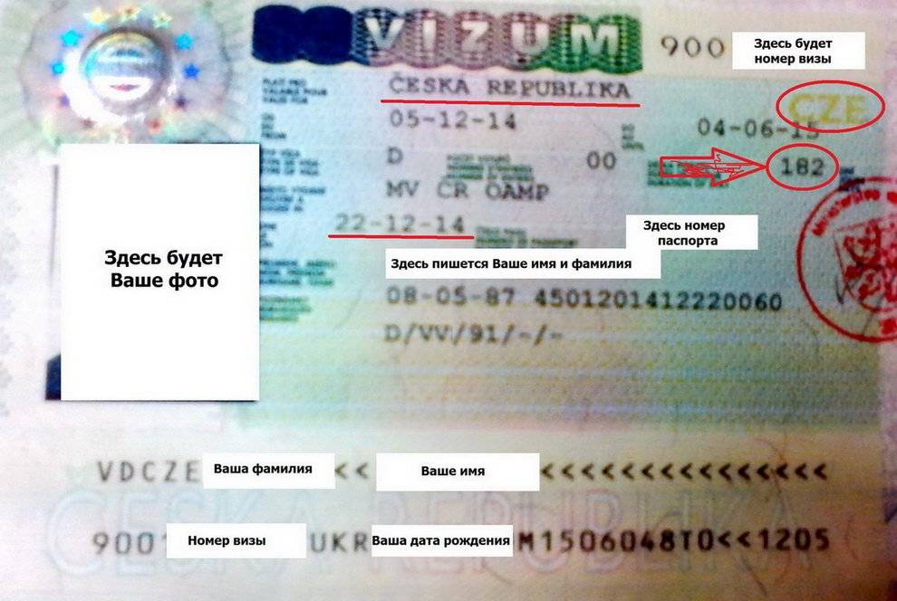Учебная виза в чехию: процесс оформления