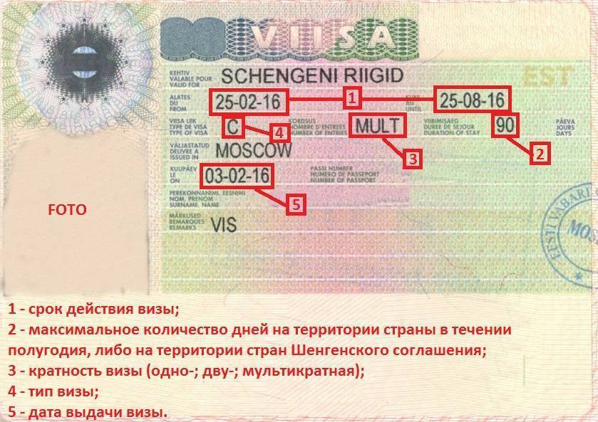 Виза в эстонию для россиян: документы, стоимость, сроки оформления и действия в 2021 году