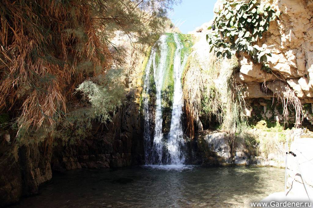 Достопримечательности израиля – туристы со всего мира выбрали 5 самых интересных заповедников и парков израиля