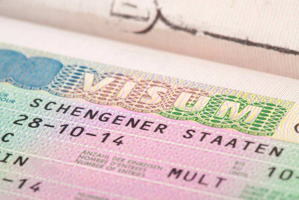 Деловая шенгенская виза в германию