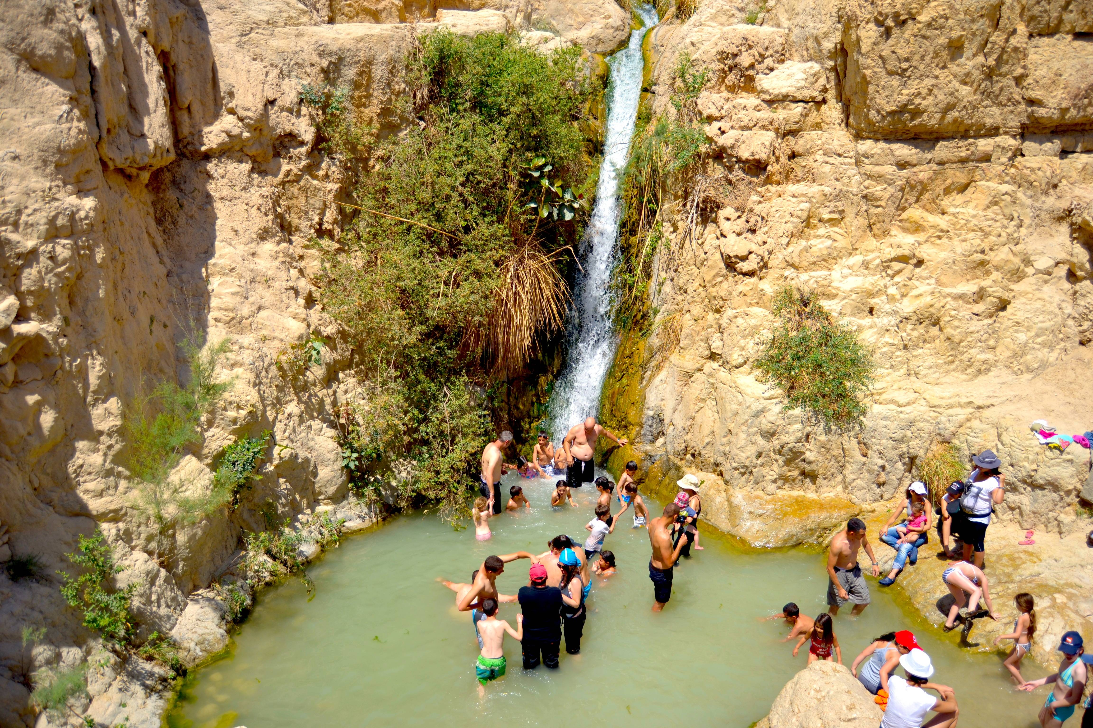 Национальные парки и заповедники Израиля вновь открываются для посетителей