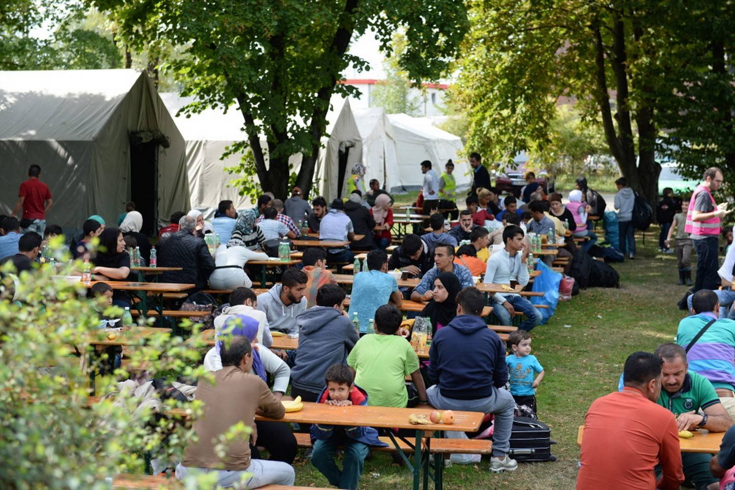 Фридланд: жизнь переселенцев и беженцев в  2021  году