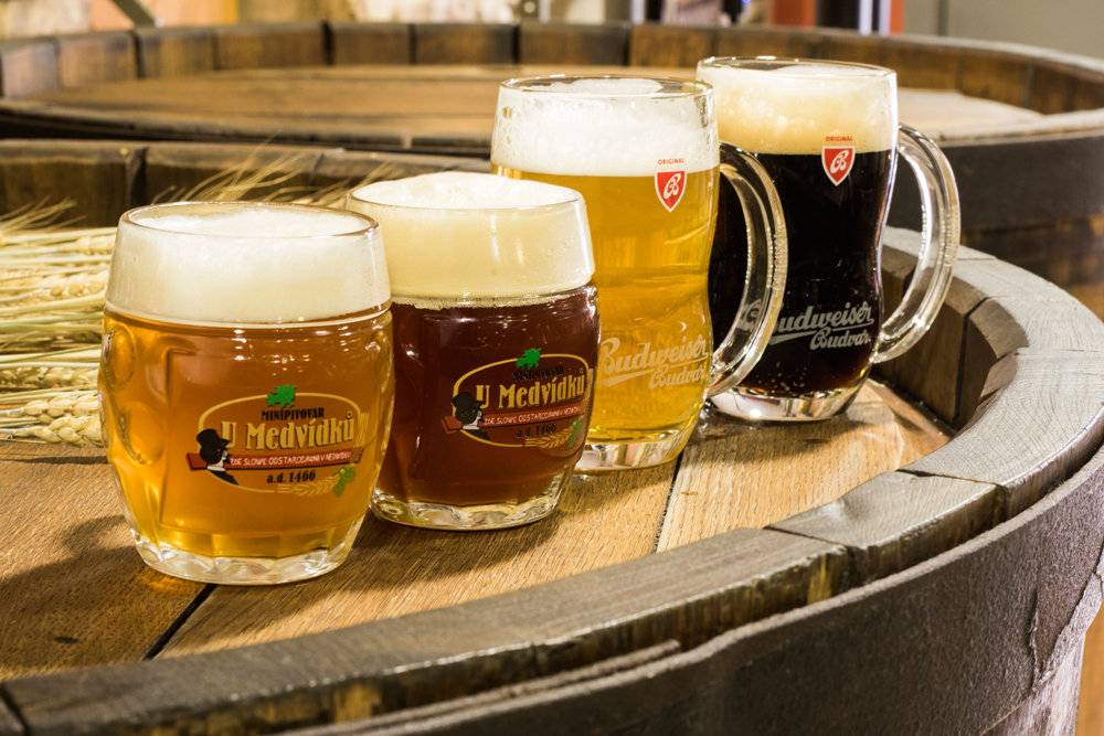Пиво в чехии – самые лучшие сорта и марки, которые стоит попробовать