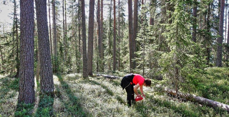 Как найти работу в финляндии в  2021  году