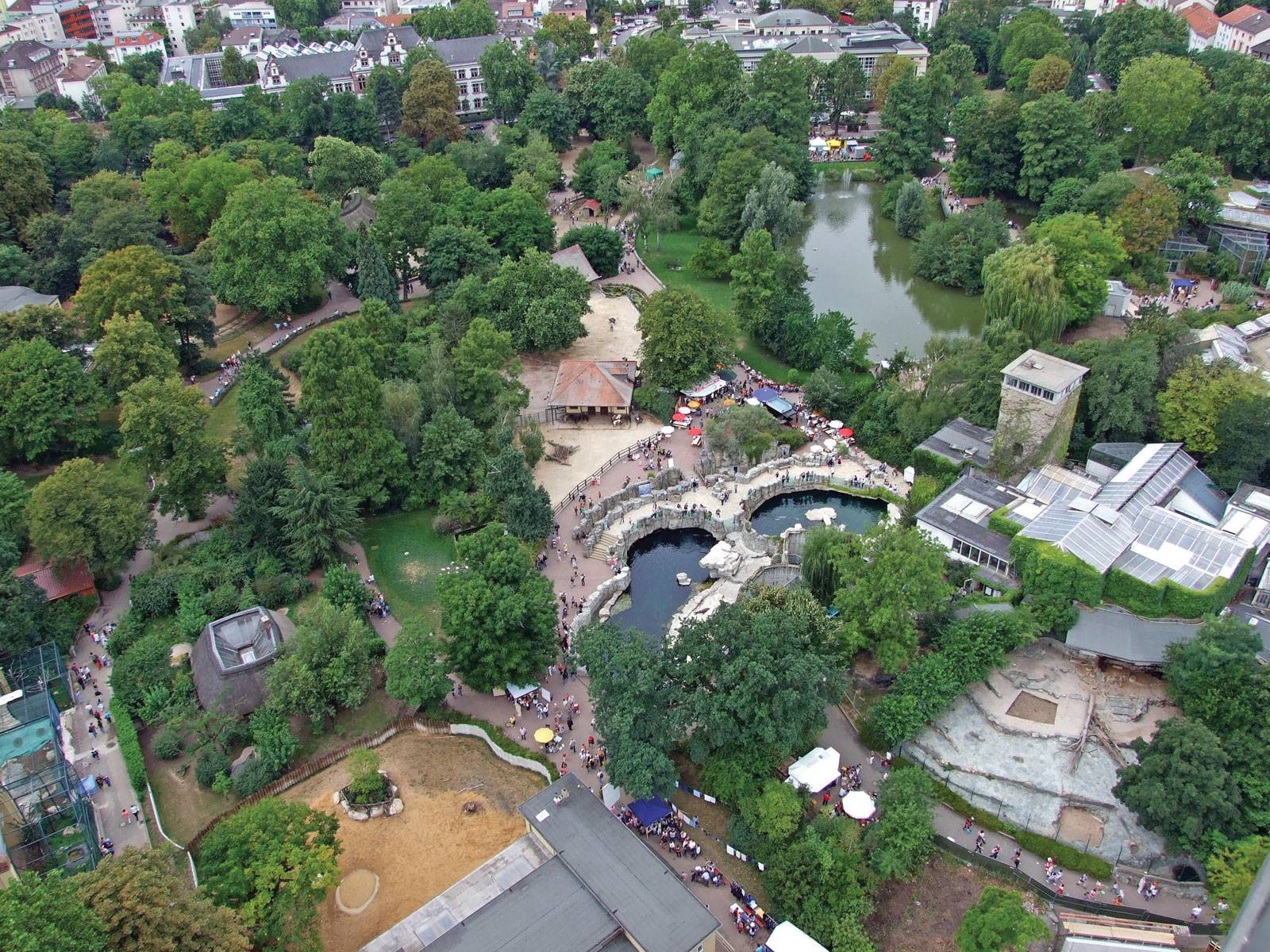 Франкфуртский зоопарк мирового уровня: zoologischer garten frankfurt