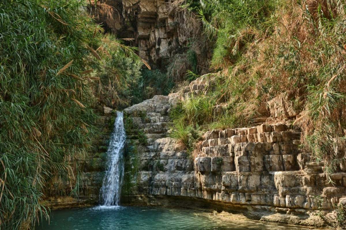 Достопримечательности израиля – туристы со всего мира выбрали 5 самых интересных заповедников и парков израиля