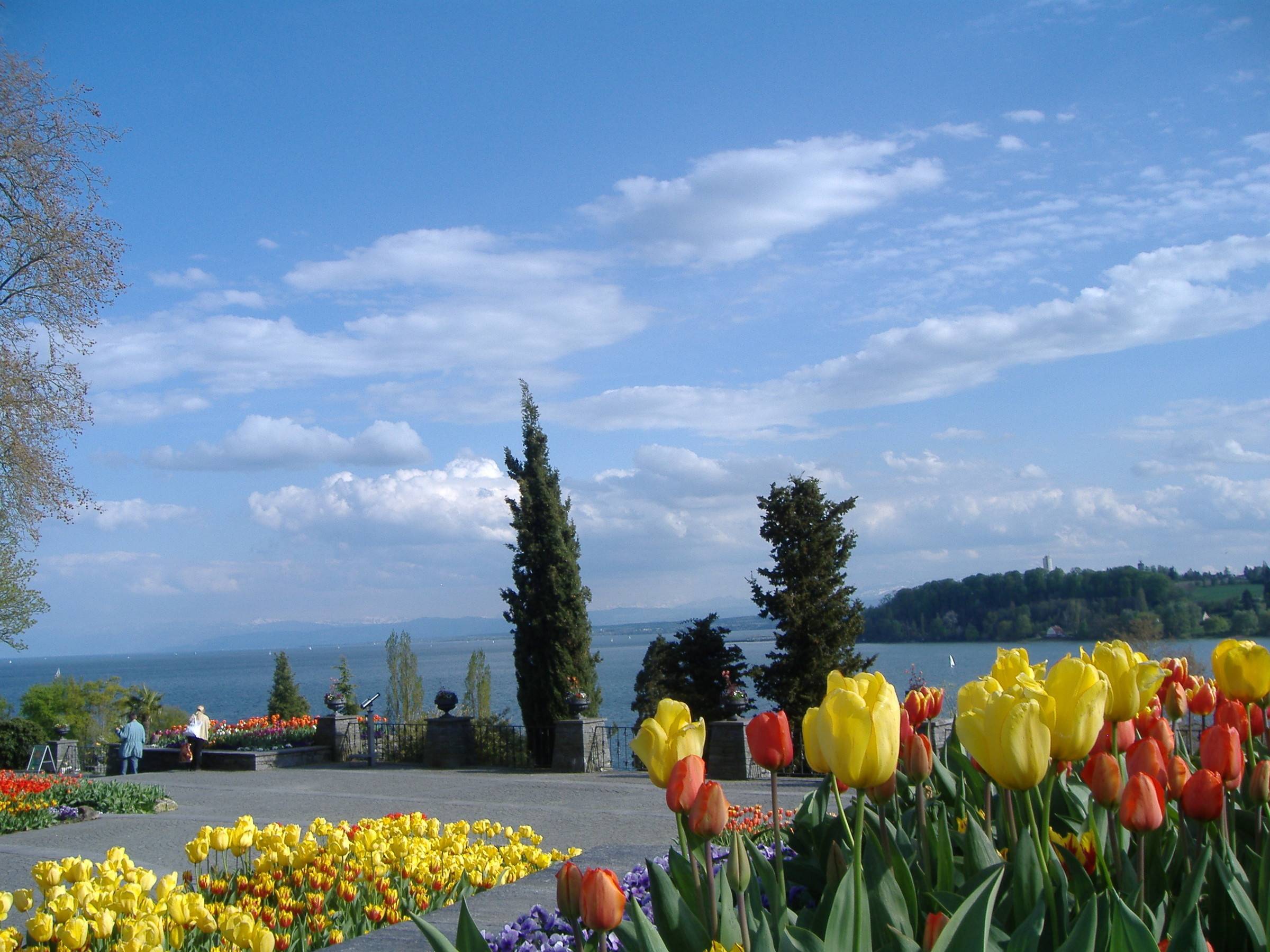 Майнау остров цветов на боденском озере в германии
