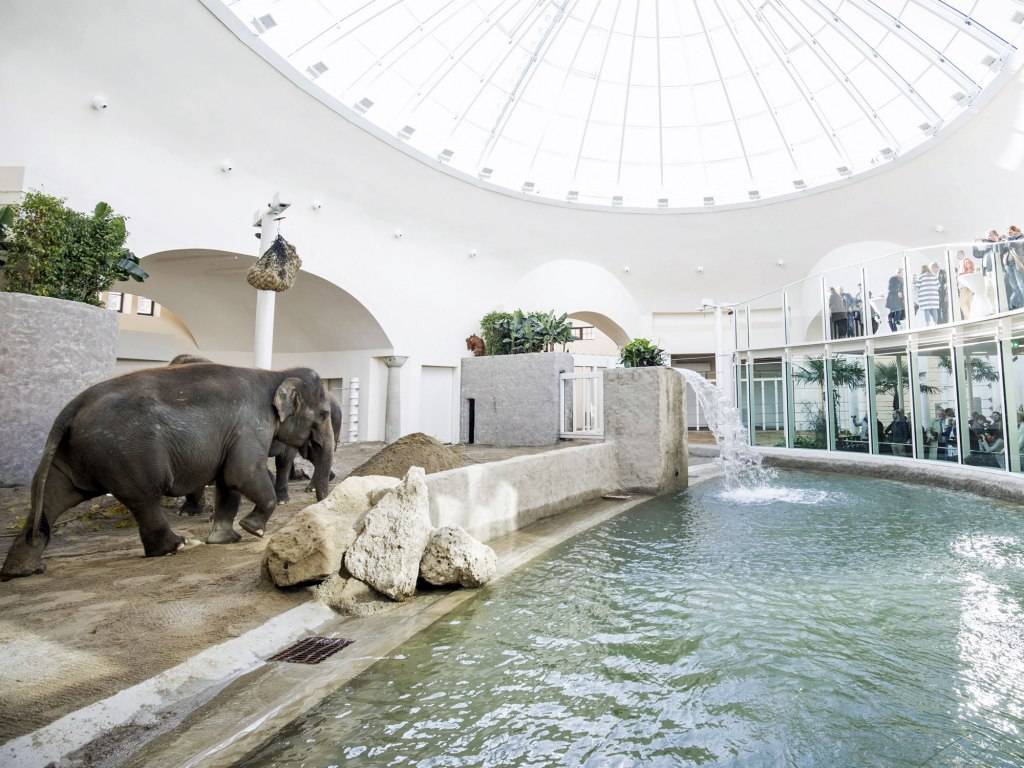 Берлинский зоопарк и аквариум – большая семья для тысяч животных и обитателей водного мира. фото