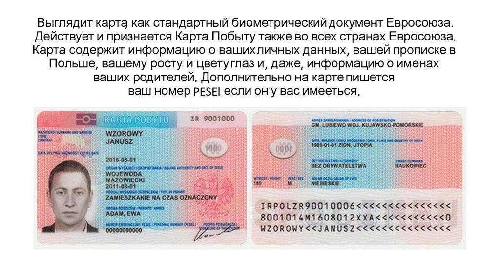 Особенности двойного гражданства россии и польши
