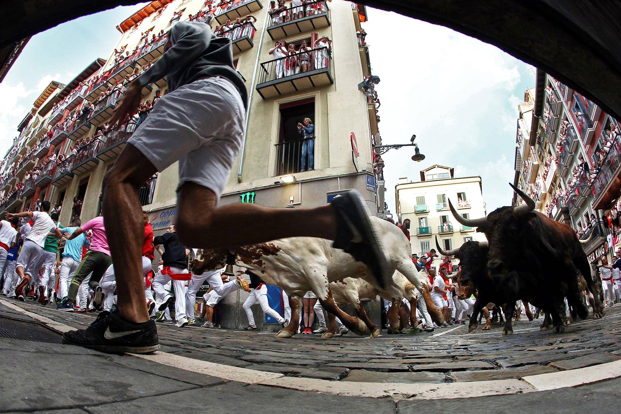 Как проводится бег с быками в испании