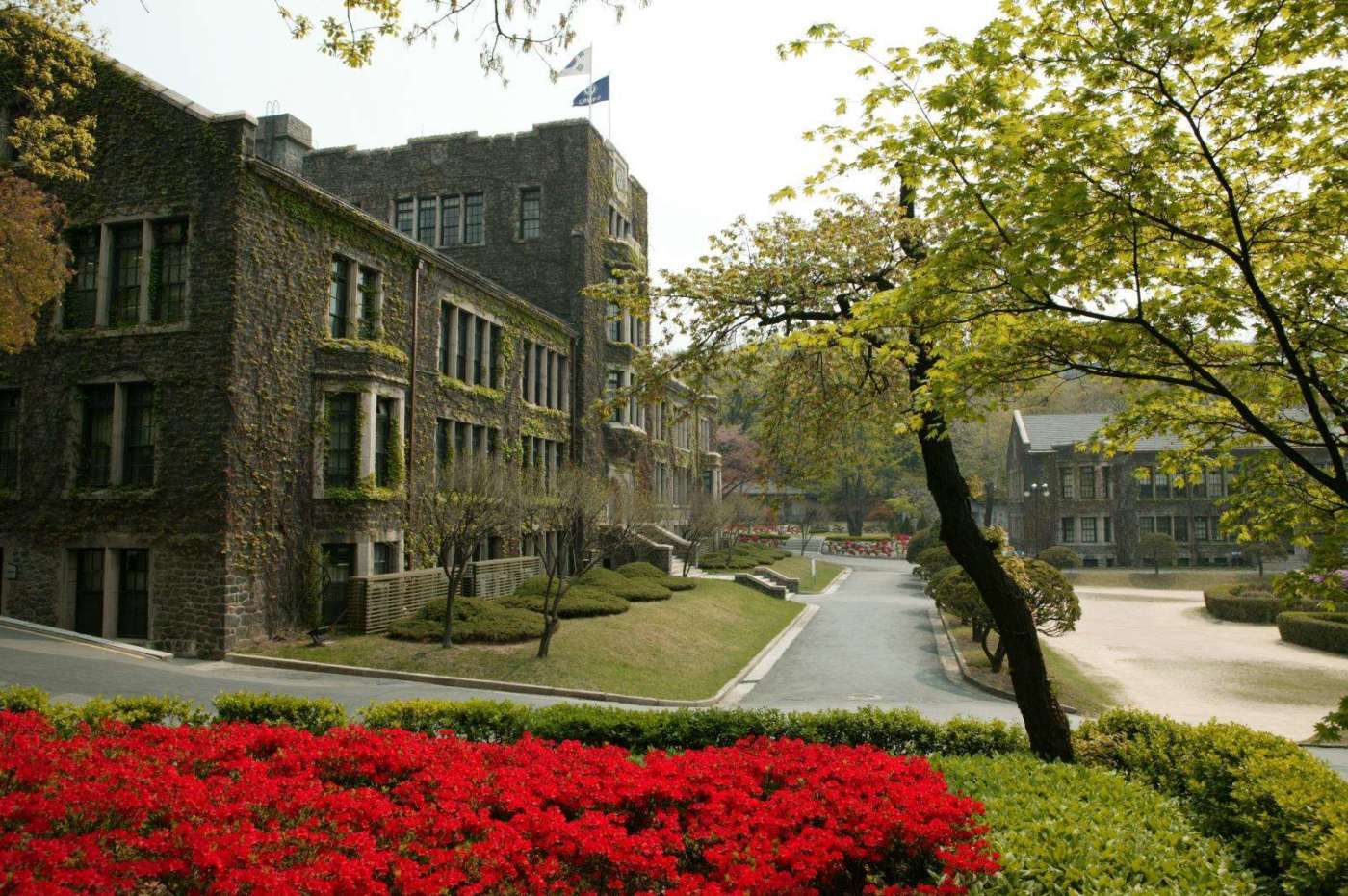 Ханкук университет (hankuk university)