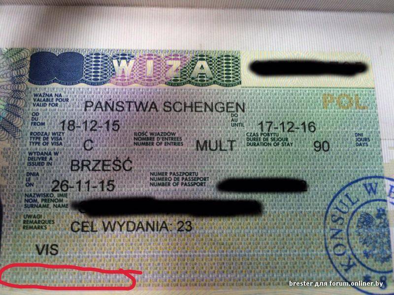 Рабочая виза в польшу: как получить польскую рабочую визу, цена