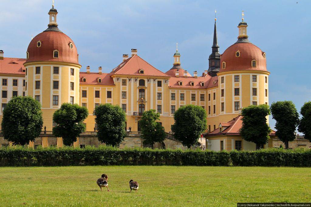 Путешествие в сказку: замок морицбург в дрездене