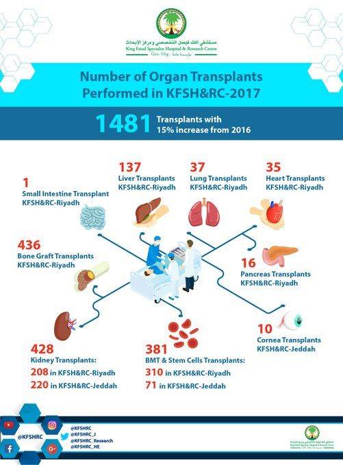 Трансплантация печени - пересадка донорского органа в германии
