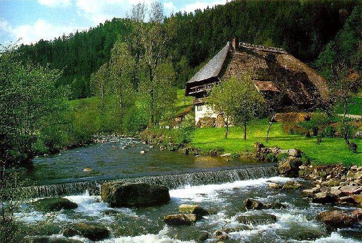 Шварцвальд или «черный лес» германия | чудеса природы
