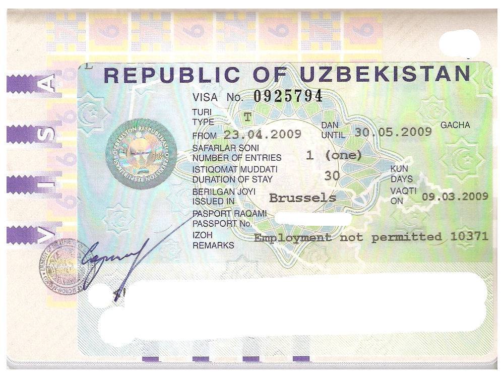 Виза в турцию для граждан армении (как сделать, стоимость) в 2021 году