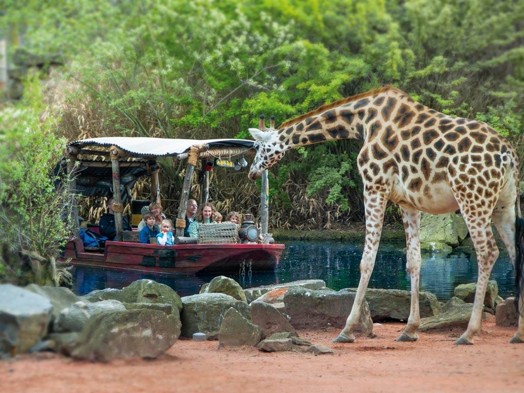 Дартмурский зоопарк — официальный сайт, режим работы и билеты 2021, где находится, как добраться | туристер.ру