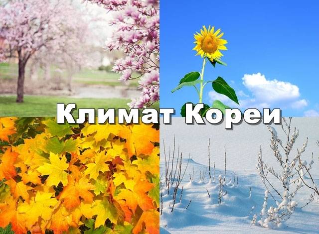 Климат венгрии летом, зимой, весной и осенью