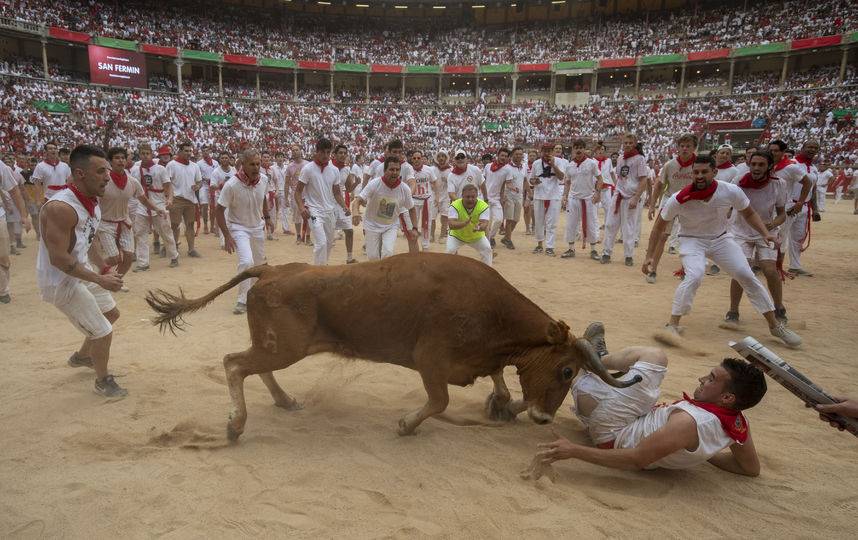 Фестиваль сан-фермин в памплоне в 2021 году: бег с быками