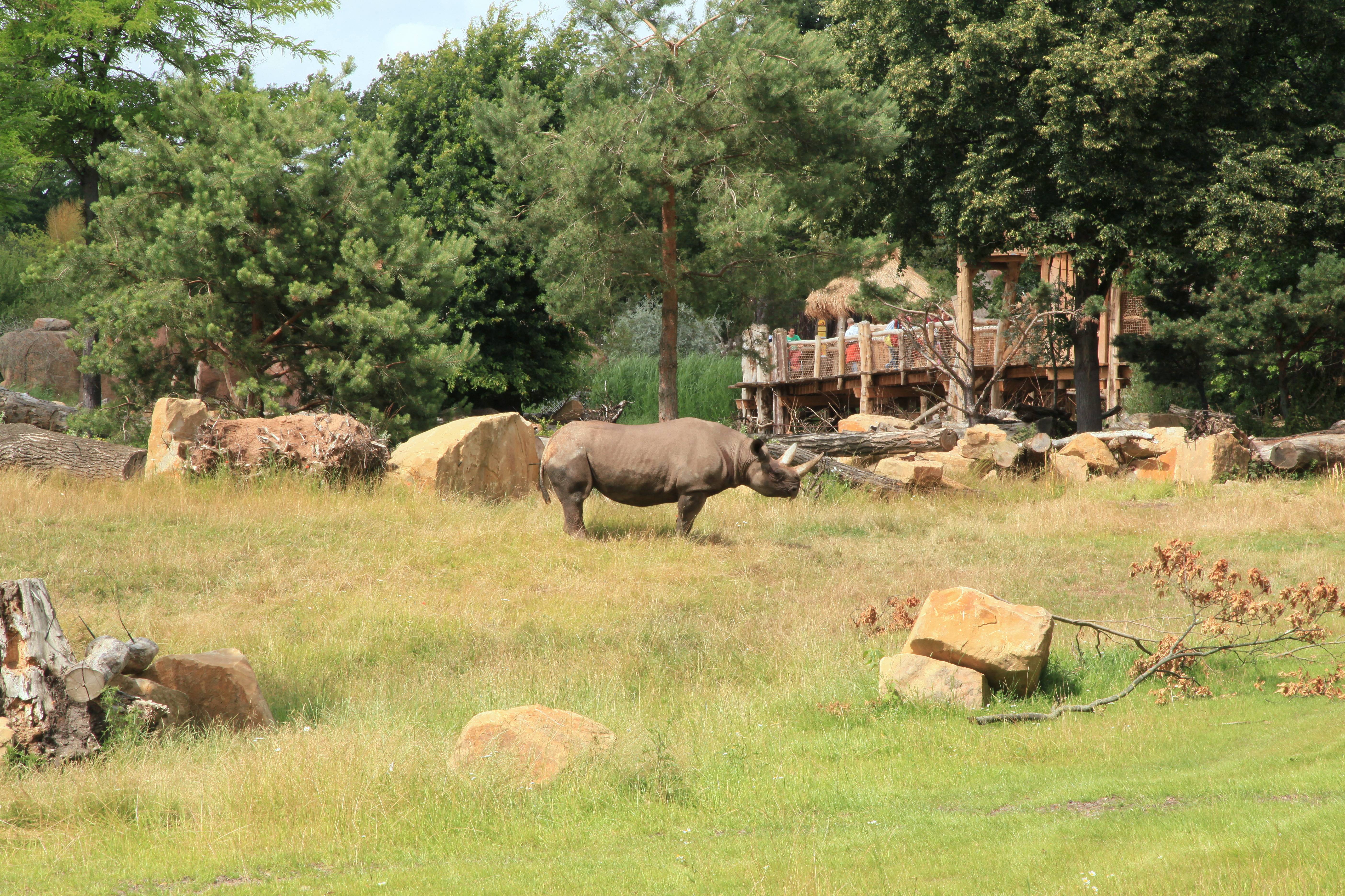 Зоопарки и зверинцы в германии